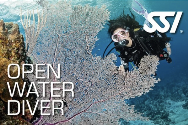 Open Water Diver SSI