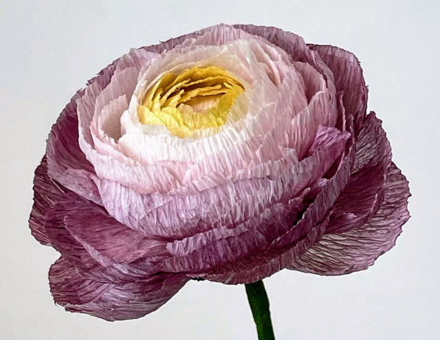 Cadre Poétique épuré "Enaé"