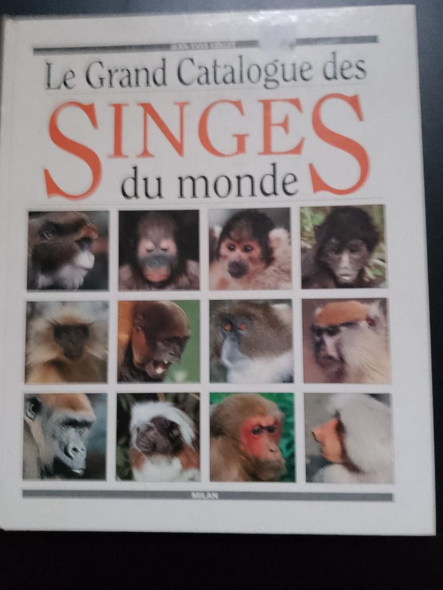 Le grand catalogue des singes du monde