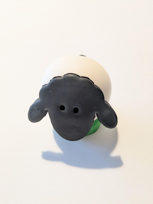 Little lamb on grass