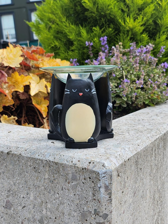 Curious Cat Wax &amp; Oil Burner