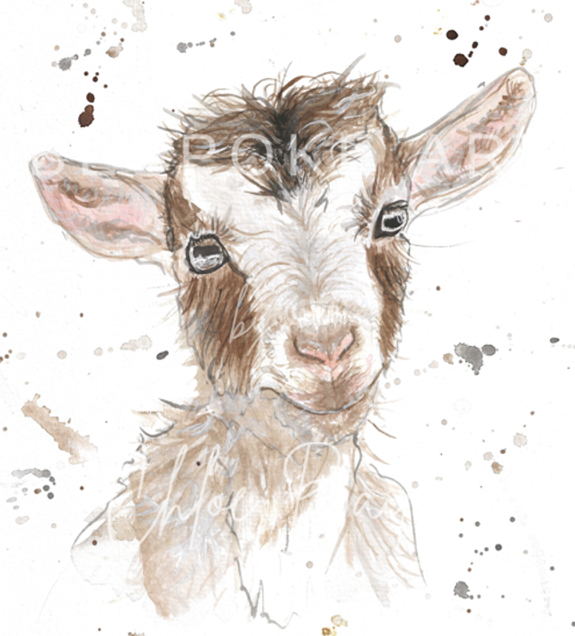 ‘Gerald’ Print