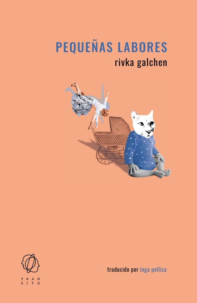Pequeñas labores - Rivka Galchen