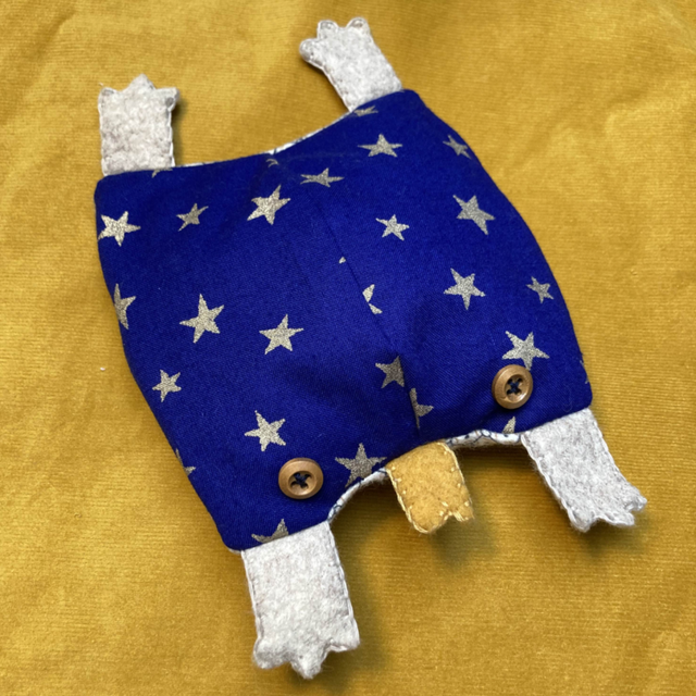 Bouillotte crapaud étoilé