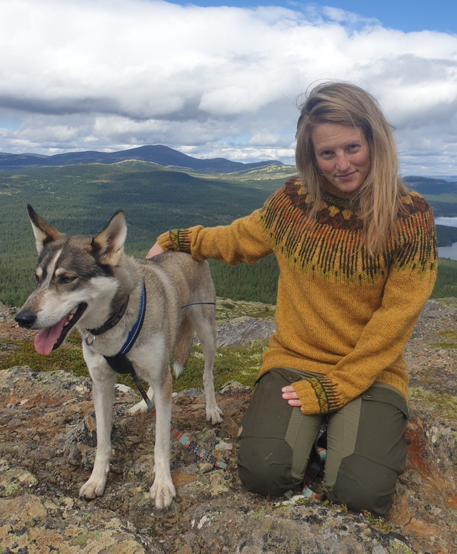 Hopi Sweater Kit - Col 18 (Yellow Vidde) - Wool &amp; Pattern - Linka Neumann