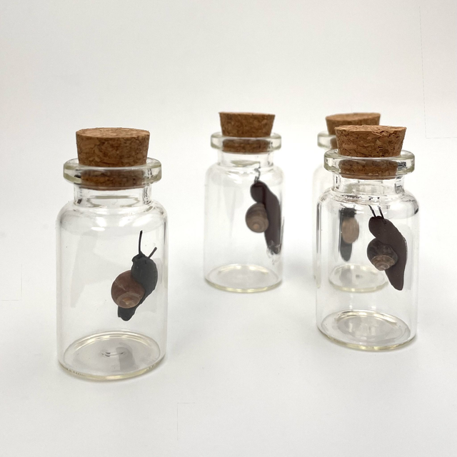 Micro Snail in a Bottle