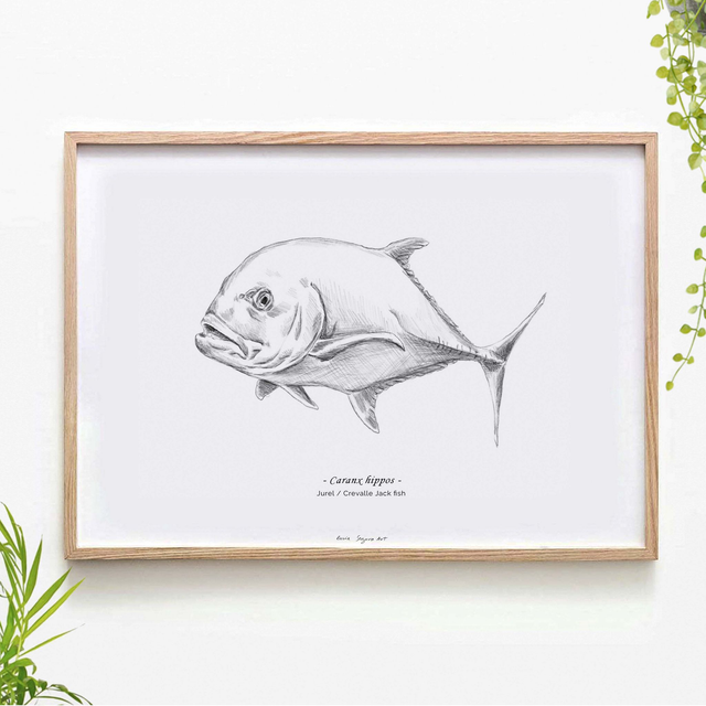 Pencil fish - Crevalle Jack fish