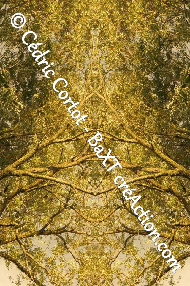 Impression sur alu dibond - Entre réel et irréel (ref 1479 R1)