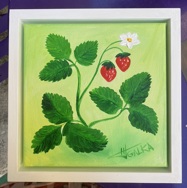 Fraises de bois de Galka 