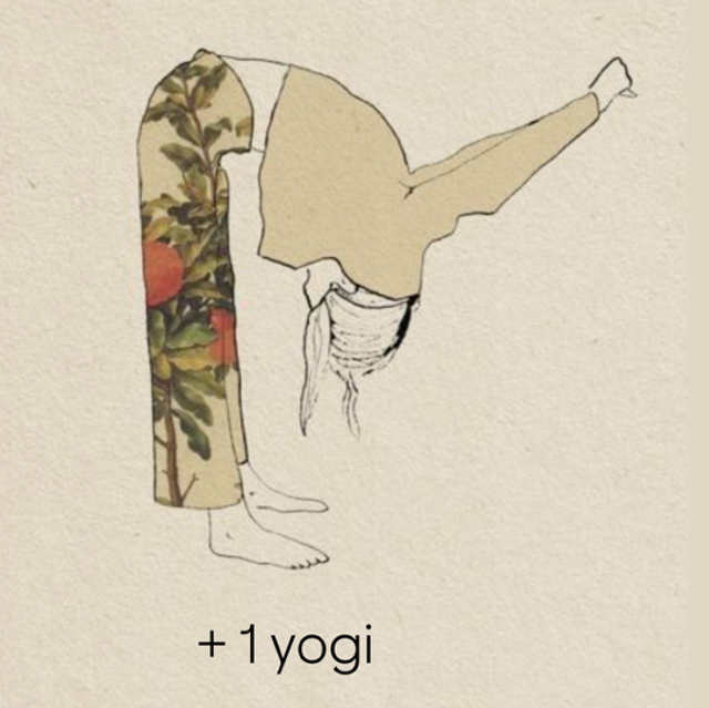 YOGA cours particulier  + 1 yogi