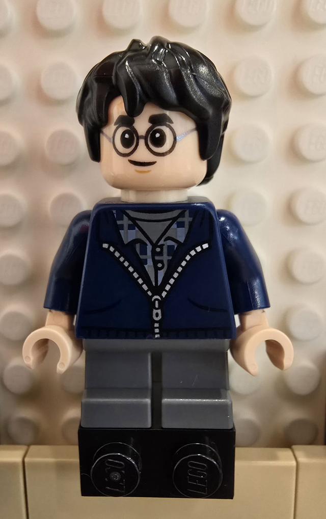 LEGO hp495 Harry Potter Minifigur