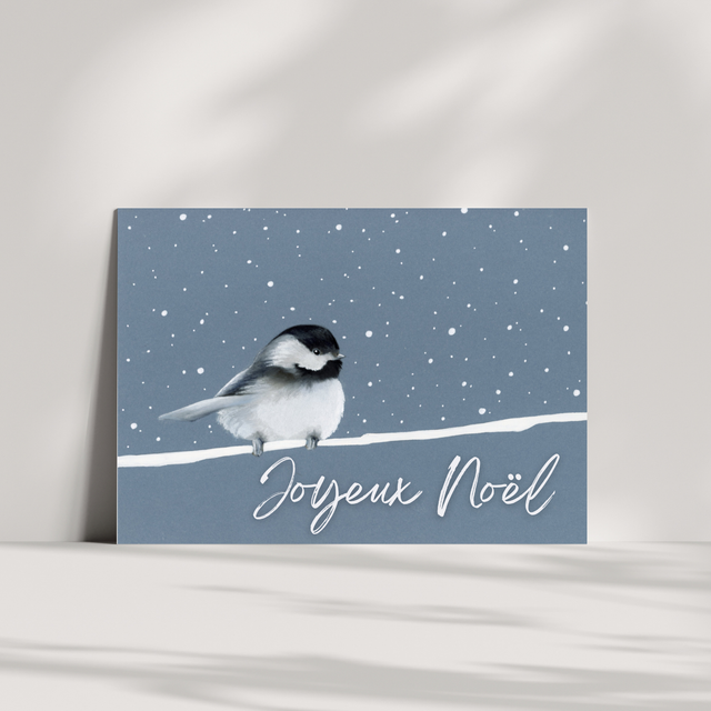 Carte de vœux - Mésange bi-color