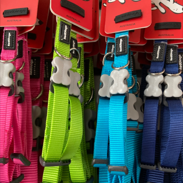 RedDingo Plain Collar - Small