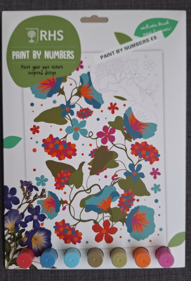 RHS Paint by Numbers - flower design for children version 2