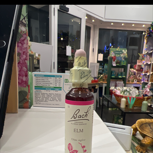 Fiori di bach 11 Elm