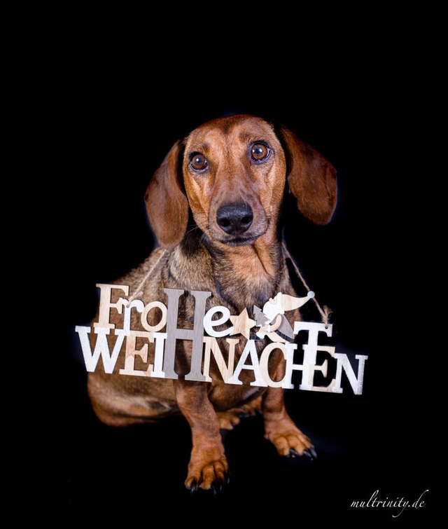 Gutschein für Physiobehandlungen oder Kurse (vorort oder online)