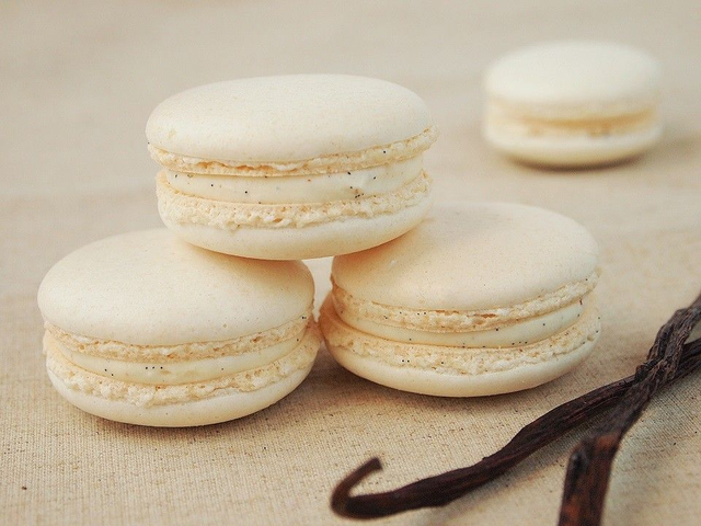 MACARON VANILLE