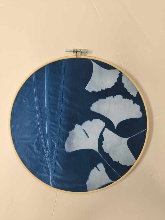 Cyanotype - « Gingko » sur drap ancien