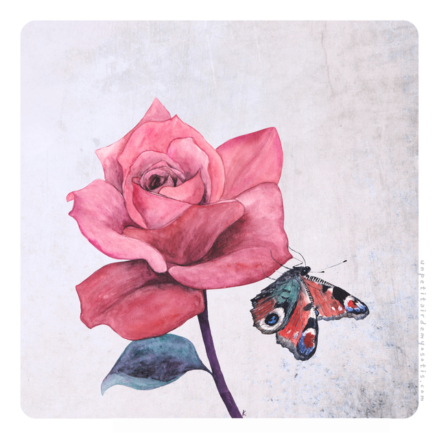 Carte postale Rose et papillon paon du jour