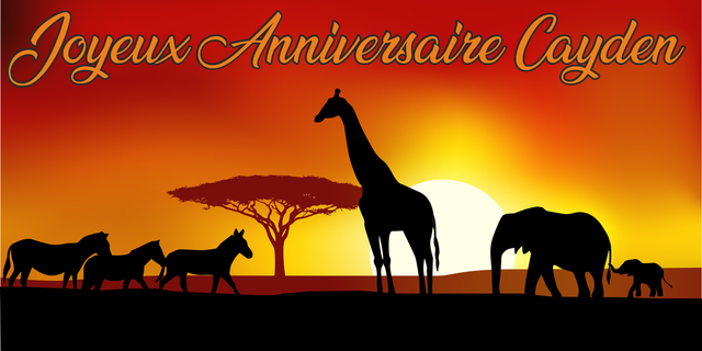 banderole 100cm x 200cm