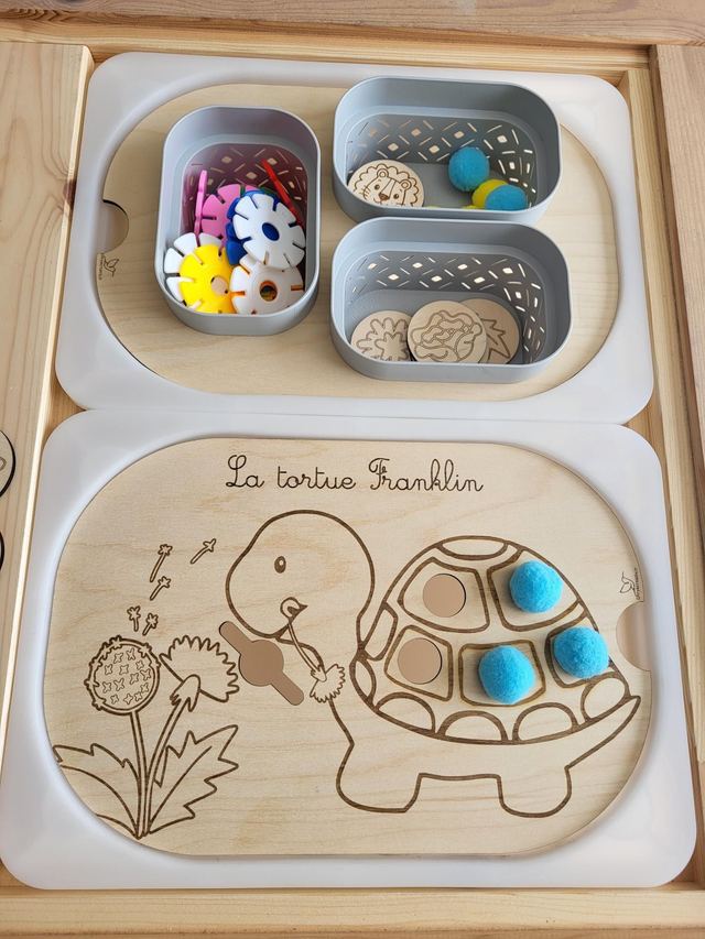 La tortue Géraldine ou Franklin sans jetons