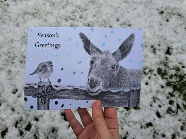 Christmas Donkey Foiled Greetings Card