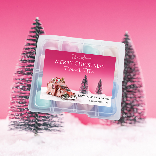 CHRISTMAS GIFT BOX MERRY CHRISTMAS TINSEL T*TS SECRET SANTA