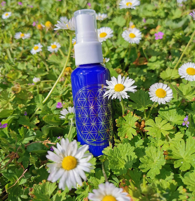 Eau florale sauge 50ml