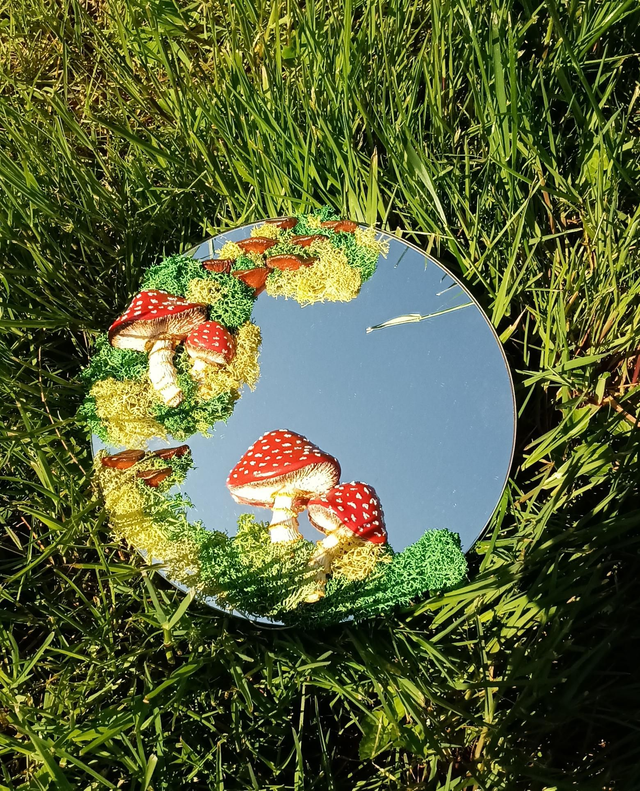 Reflet de Mycéliande 