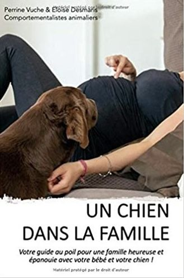 Un chien dans la famille de Perrine Vuche et Éloïse Desmaris