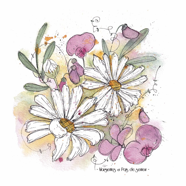 Marguerites et pois de senteur