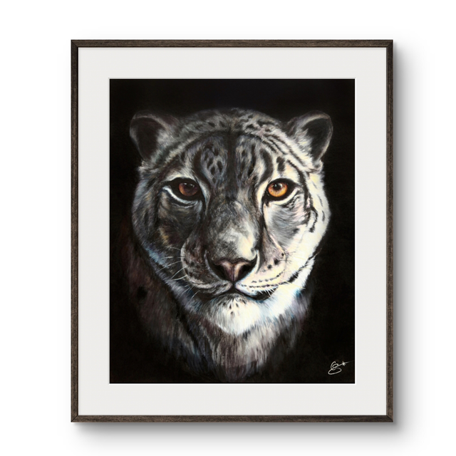 Tirage Panthère des Neiges 
