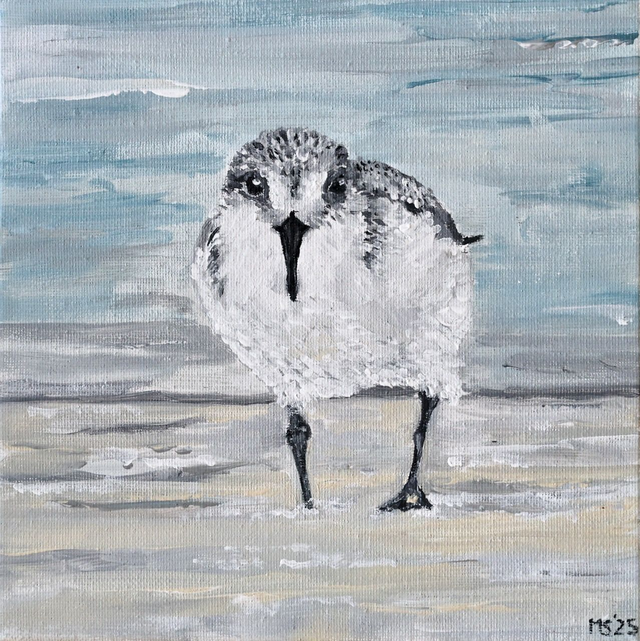 Mirjam Smit "Drieteenstrandloper 2025" 20x20