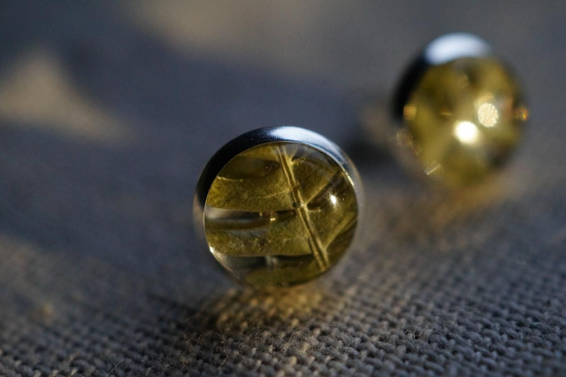 Clous d'oreilles - Fougère