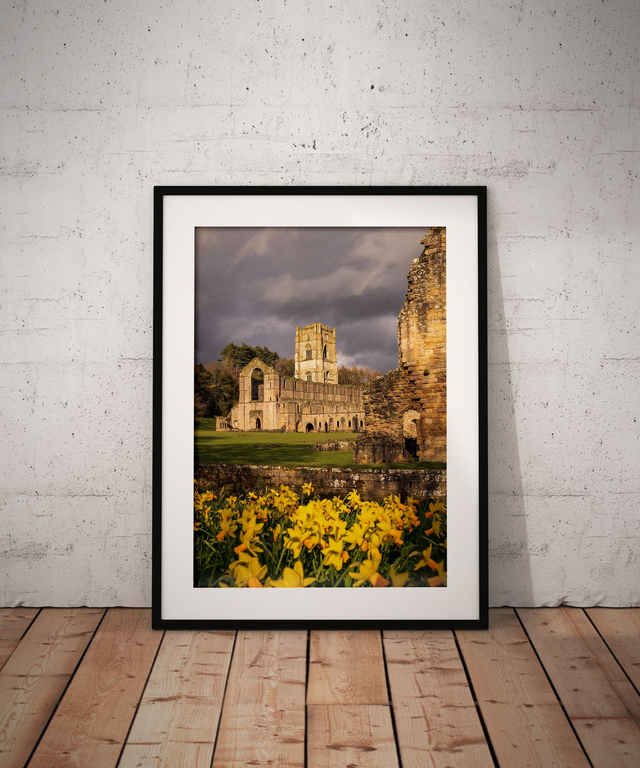 Showered In Spring, Fountains Abbey