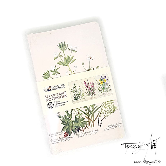 FLAMETREE - LOT 3 CARNETS DE NOTES PLANTES FLEURS BOTANIQUE NATURE - TB009