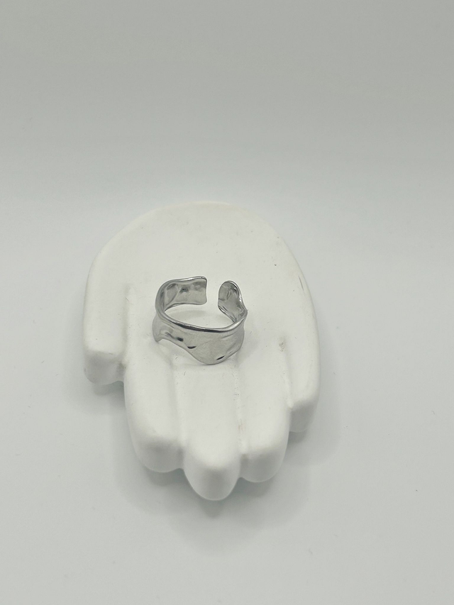 Stainless Steel Ring (SSR12J)