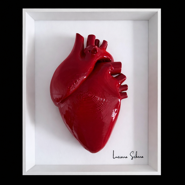 cuore anatomico 3D