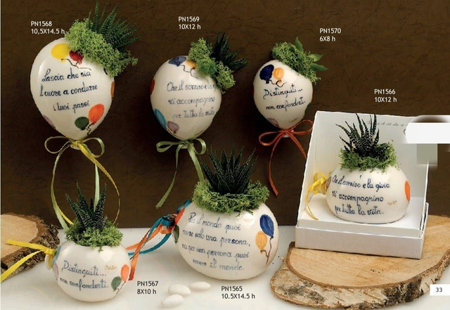 Palloncino con piantina vera decoro palloncini 