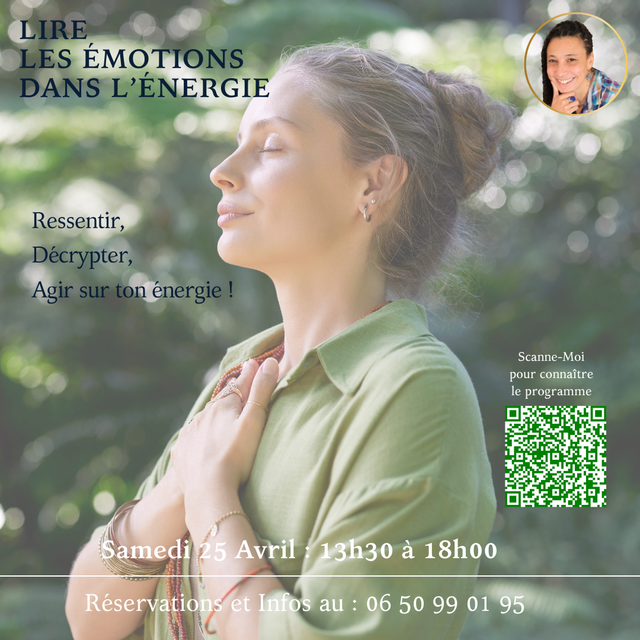 Atelier Décrypter l'énergie Bléssée : Décodage des maladies