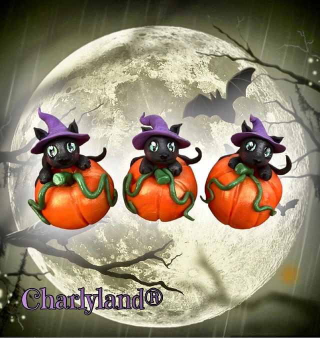 Halloween mini chat citrouille