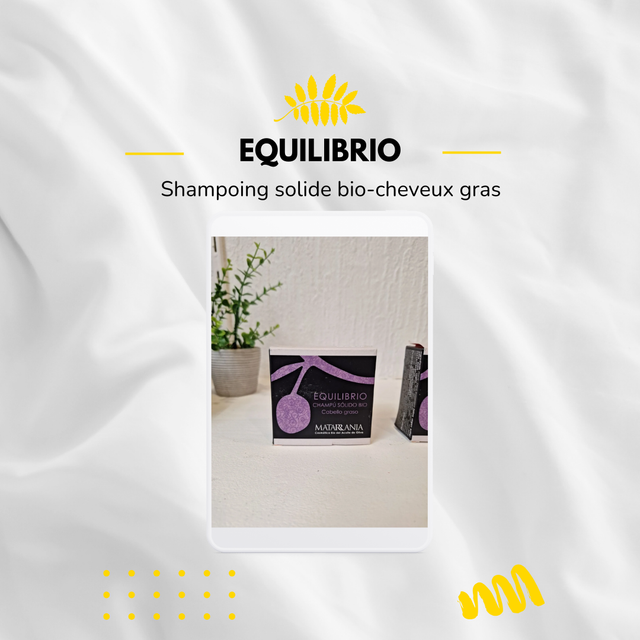 Equilibrio-Shampoing solide bio-cheveux gras