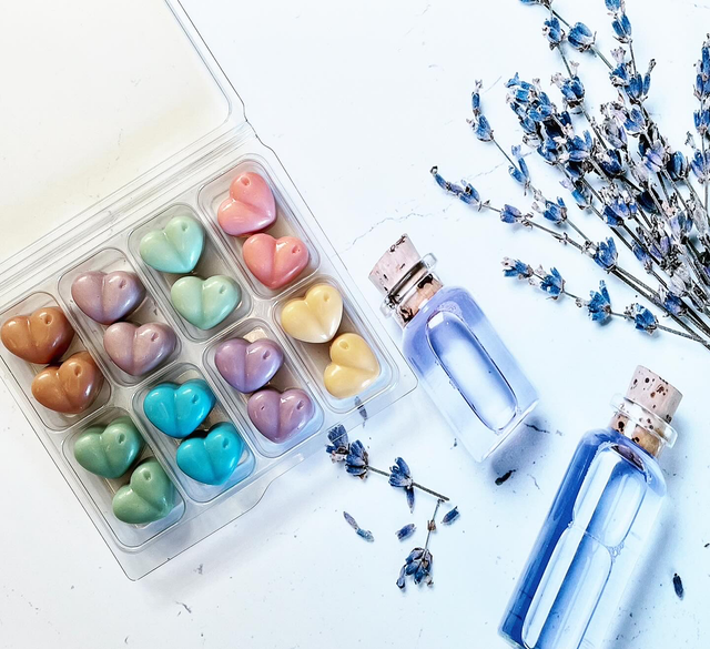 The Wellness Collection 