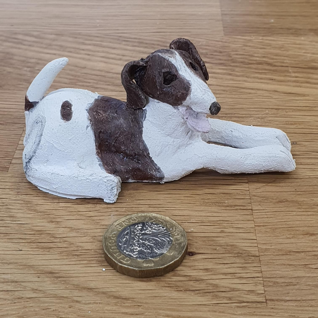 Jack Russell Terrier