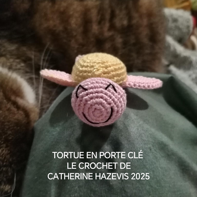 2025 TORTUE EN PORTE CLÉ 