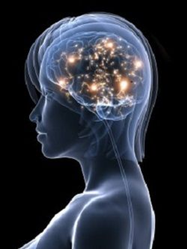 Stammkunden-Paket "6 für 5"