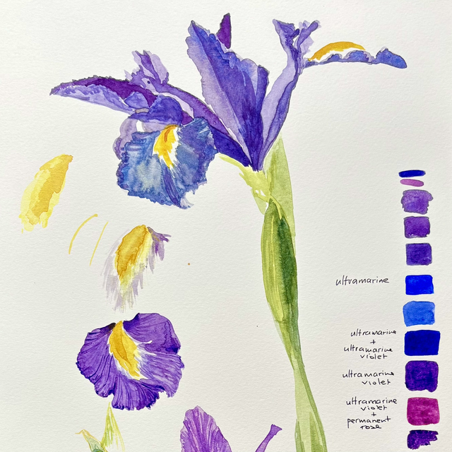 Mixed Ability Watercolour Course 18th September 10am - 1pm