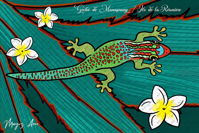 Gecko de Manapany