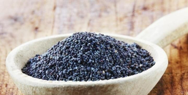 Semi di papavero blu