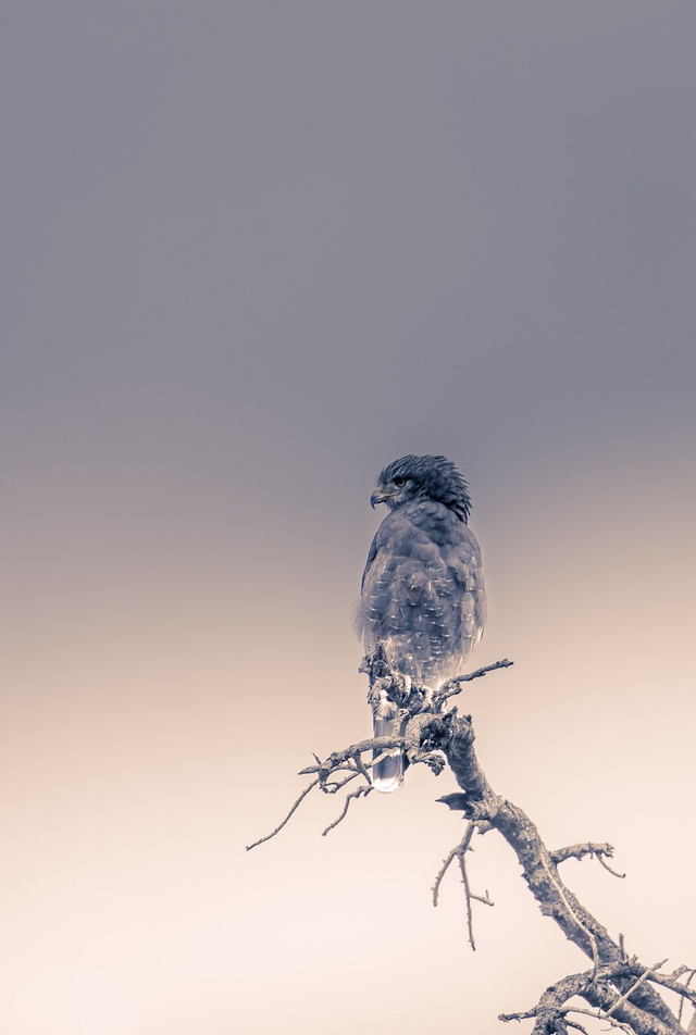 Tirage d'art : Nuances de gris